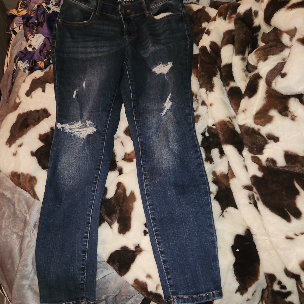 Maurices ripped jeans